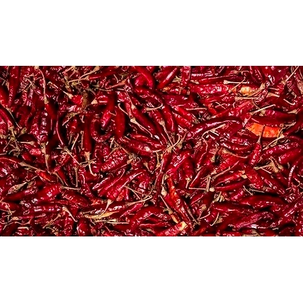 Red Chilli-1