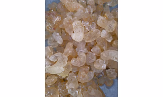 Asian gum