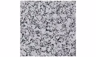 PLATINUM WHITE GRANITE SLAB