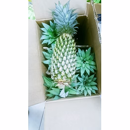 pineapple
