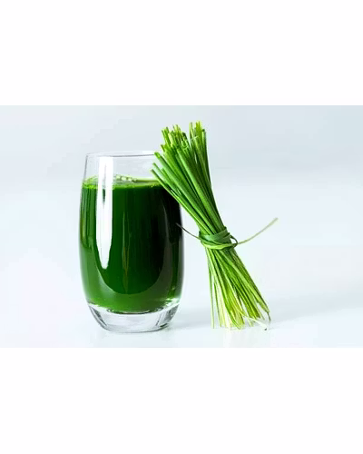 Organic Wheat Grass Powder-100gm-4
