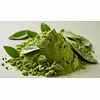 What is Moringa Powder?