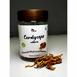 cordyceps militaris mushrooms