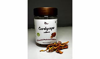 Cordyceps militaris mushrooms
