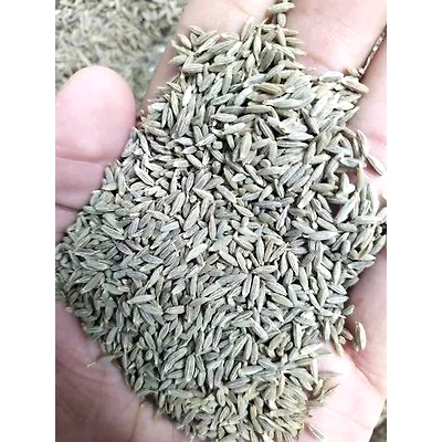 Cumin Seeds-1