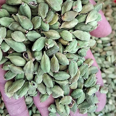 Green Cardamom-1