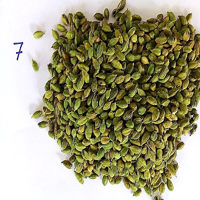Green Cardamom-3