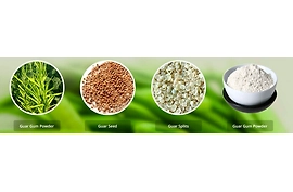 Guar Gum Powder