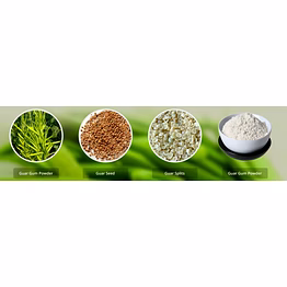 guar gum powder