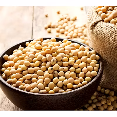 Guar Gum Powder-1