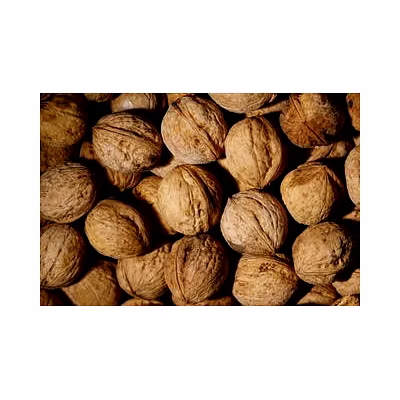 spices-12696105