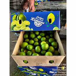 premium fresh lemon - direct farm sourcing from india