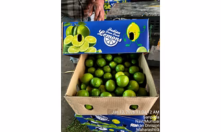 Premium Fresh Lemon - Direct Farm Sourcing from India