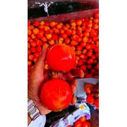 premium fresh bhagwa pomegranate - hand-picked quality from india
