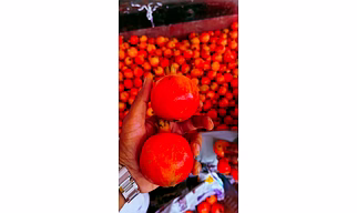 Premium Fresh Bhagwa Pomegranate - Hand-Picked Quality from India