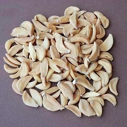 Garlic flakes