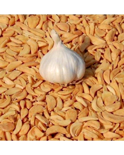 Garlic flakes-2