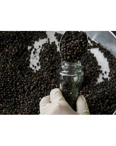 Black pepper-2