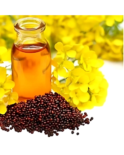 Black mustard-12691947
