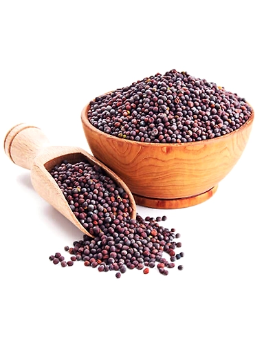 Black mustard-2
