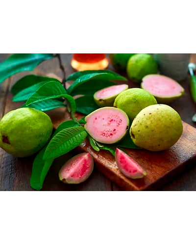 Guava powder-12691931