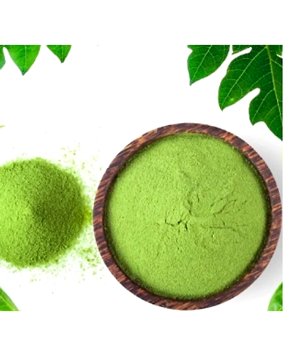 Papaya leaf powder-1