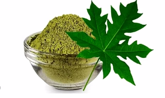Papaya leaf powder