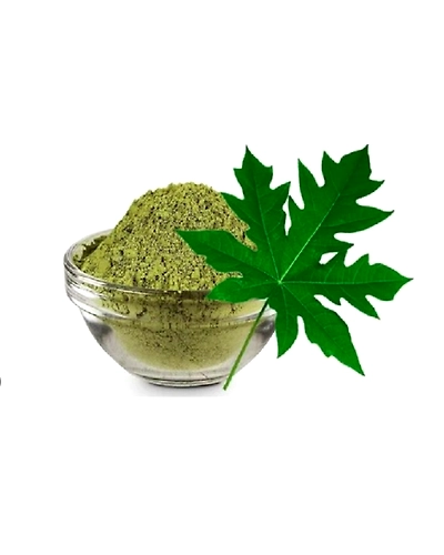 Papaya leaf powder-12691927