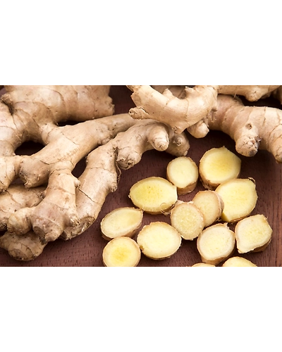 Ginger-12691951
