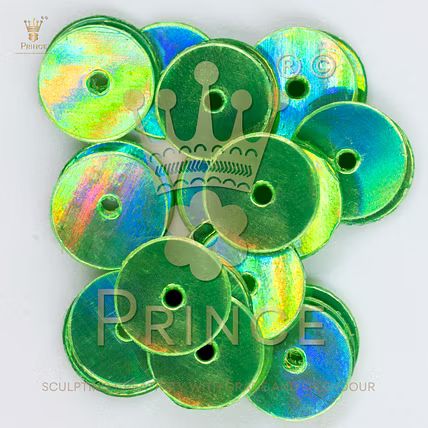 Holographic Sequins (HG)-2