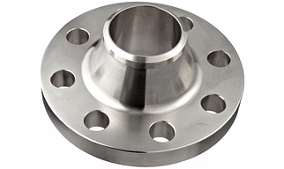 STIANLESS STEEL FLANGES