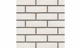 Glazed Bricks White