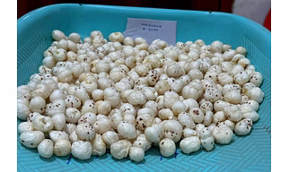 Makhana (fox nuts)