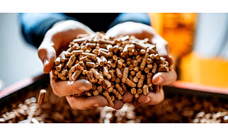 Biomass pallet/ wood