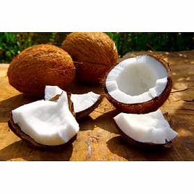 Coconut (Brown)