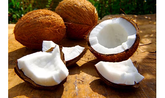 Coconut (Brown)
