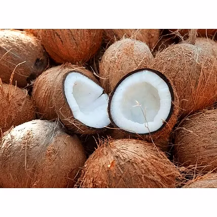 Coconut (Brown)-1