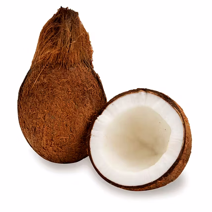 Coconut (Brown)-2