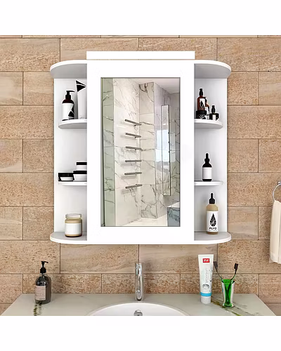 Bathroom Mirror Cabinet-12694197