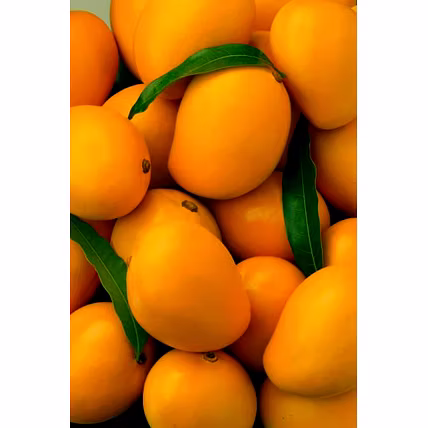 Mango-2