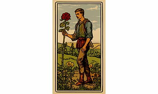 Tarot Reading Session