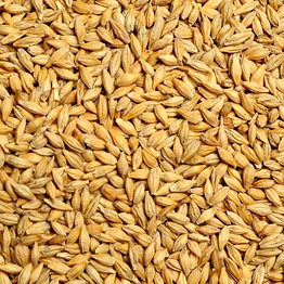 ptc global barley