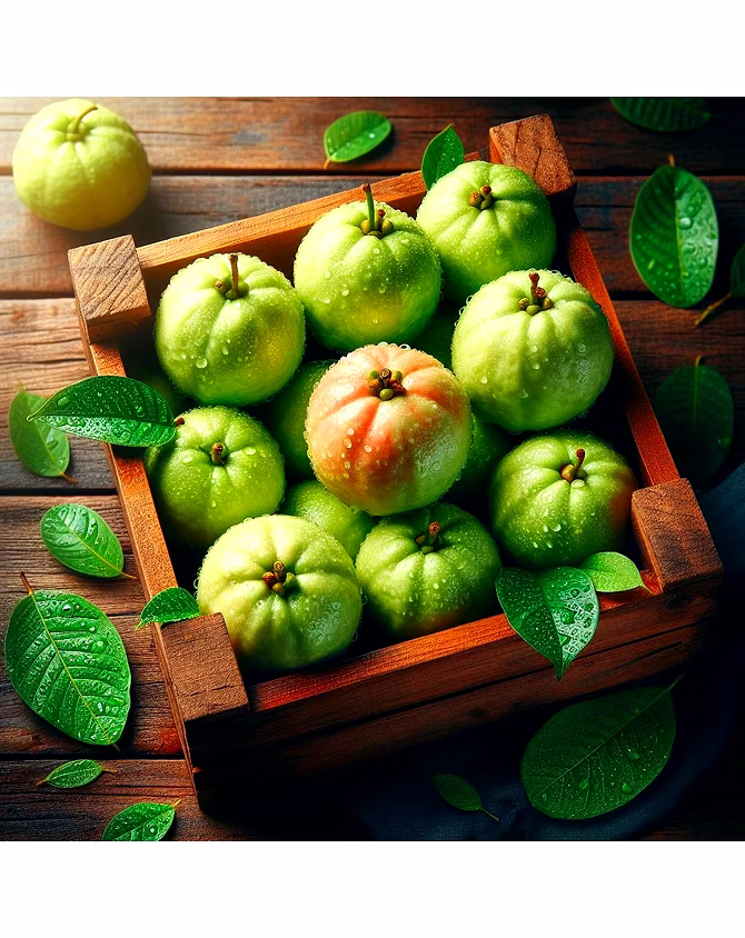 Guava