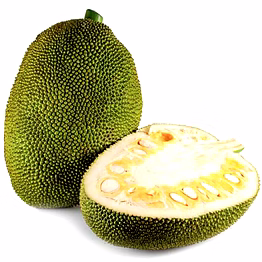 ptc global jackfruit