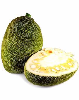 Jackfruit