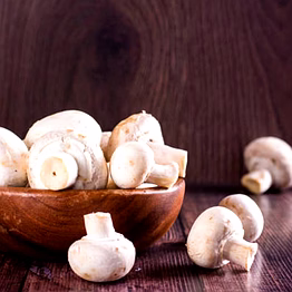 ptc global mushrooms