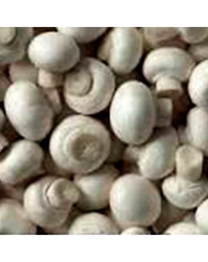 Mushrooms