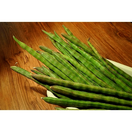Drum Sticks