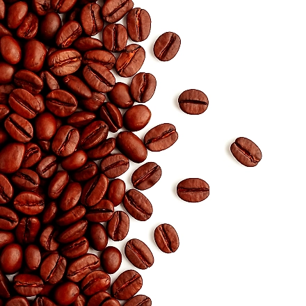 Arebica Coffee