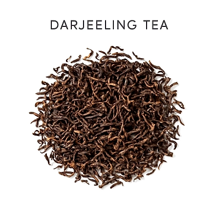 Nilgiri Tea